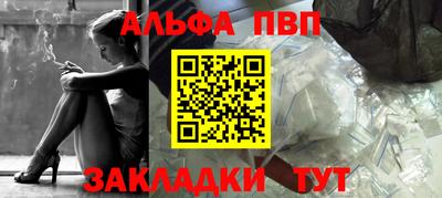 крисы Можга
