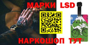 крисы Можга