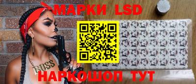 крисы Можга