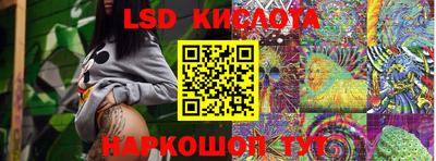 крисы Можга