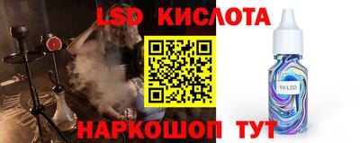 крисы Можга