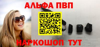 крисы Можга