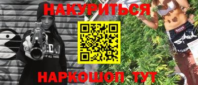 крисы Можга