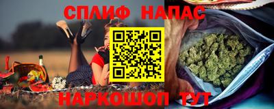 крисы Можга
