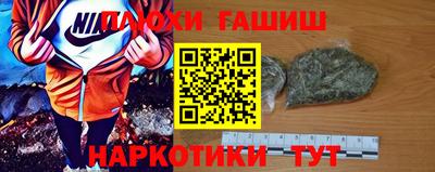 крисы Можга