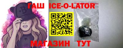 крисы Можга
