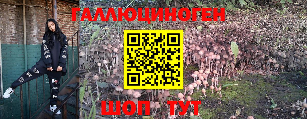 Галлюциногенные грибы прущие грибы  Вход с VPN  где продают наркотики  Вязьма 